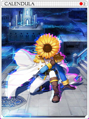 Calendula Card illustration