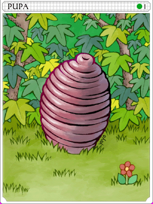 푸파 카드 illustration
