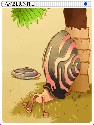 앰버나이트 카드 illustration