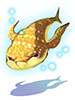 Lunaforma Fish