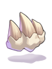 Thick Tooth Fragment