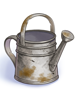 Old Watering Can