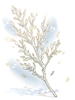 Ghost Grass