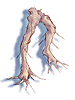 Maneater Root
