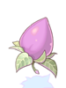 [Gift] Mastela Fruit
