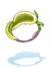 Cetrion Bracelet (OSM)