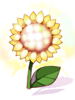 Shining Sunflower