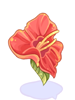 Red Flower Hat