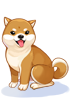 Costume: Shiba Inu