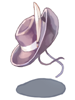 Costume: Purple Cowboy Hat