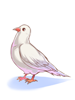 Costume: Bell Pigeon