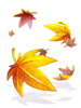 Costume: Falling Leaves