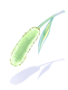 Costume: Green Foxtail