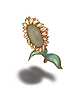 Costume: Sunflower