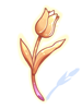 Flower Left by Phantom
