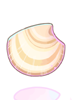 Deep Sea Clam Shell