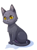 Costume: Black Cat