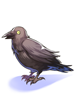 Costume: Crow on Shoulder
