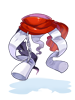 Costume: Disguise Cloth