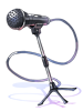 Costume: Standing Mic