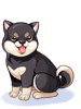 Costume: Black Shiba Inu