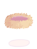 Bird Nest