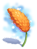 Frontier Spirit Foxtail