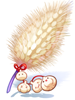 Garlic Foxtail