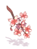 Red Cherry Blossom
