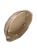 Fire Beetle Shell