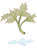 Herb of Incantation