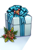 Christmas Costume Box