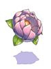 天女の花