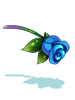 Costume: Miracle Blue Rose
