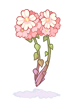 Costume: Persica
