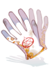Transmutation Alchemy Glove