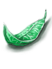 초록허브