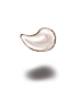텐드릴리온의 뿔