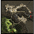 ein_fild03