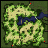 gef_fild10