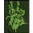 pay_fild02